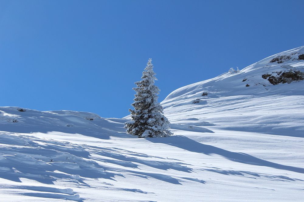 Montafon Gaschurn Austria. Original public domain image from Wikimedia Commons