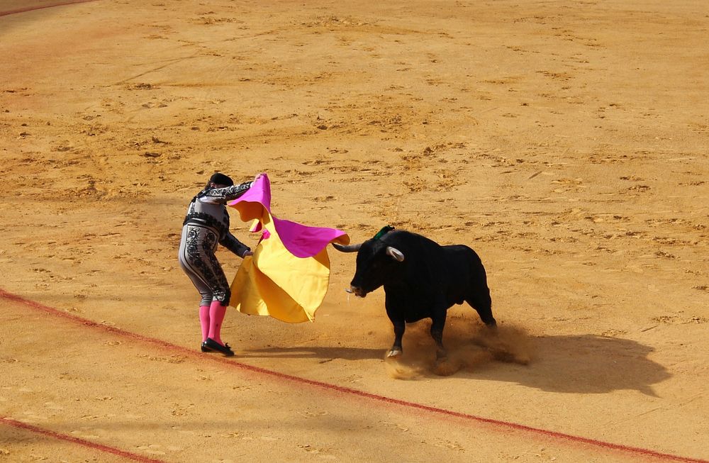 Bullfight in Seville, Spain. Original public domain image from Wikimedia Commons