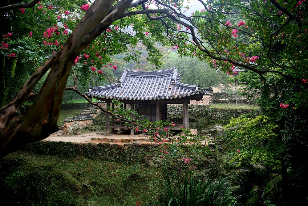 Wood nature Garden. Original public domain image from Wikimedia Commons