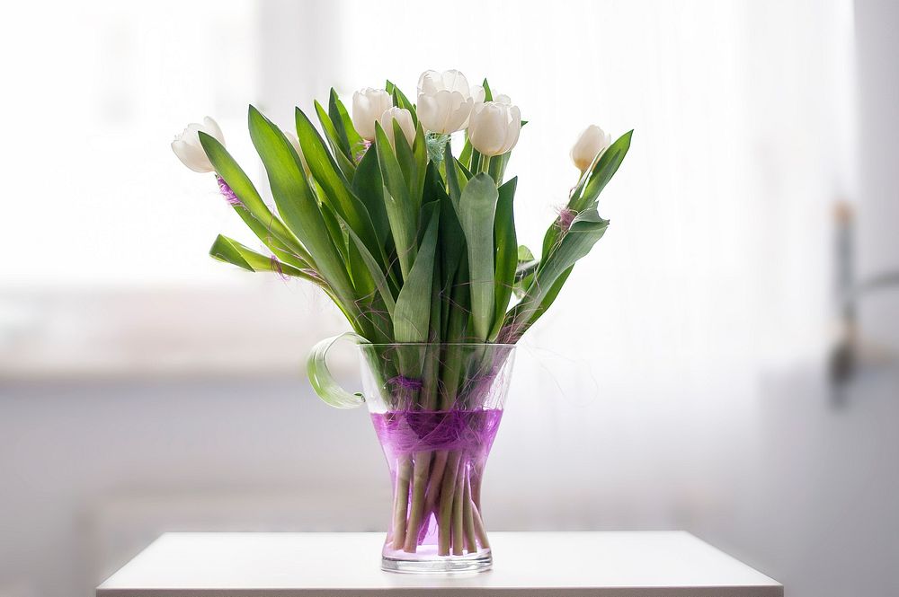 White tulips bouquet. Original public domain image from Wikimedia Commons