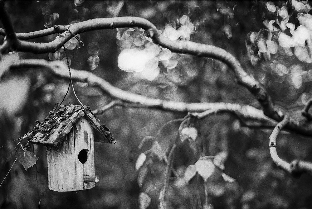Birdhouse. Original public domain image from Wikimedia Commons