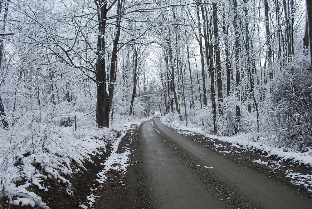 Looking down a rural dirt road after a bout of snowfall in Dutchess County, New York, USA. Original public domain image from…