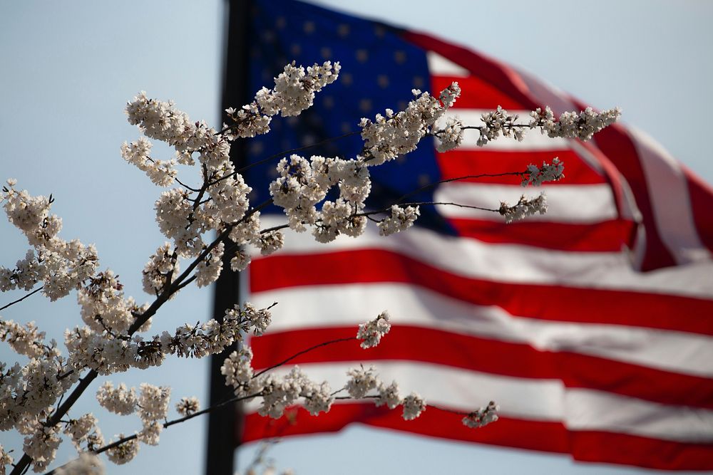 Flag of the United States. Original public domain image from Wikimedia Commons