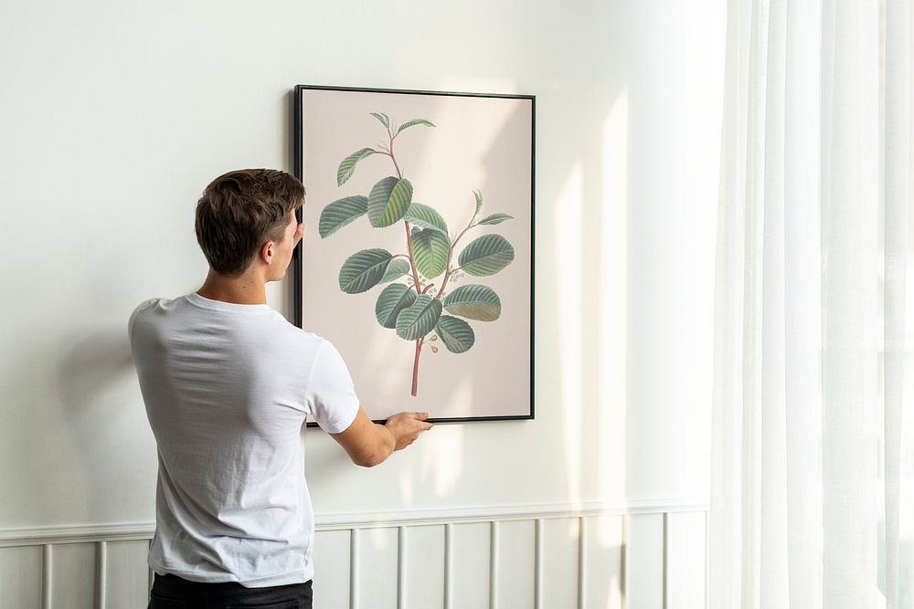 Vintage leaf painting being hung by a young man on a white minimal wall