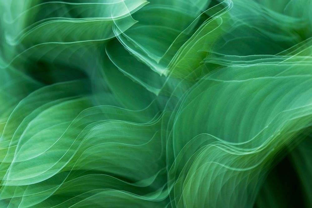 Free abstract green exposure background image, public domain CC0 photo.