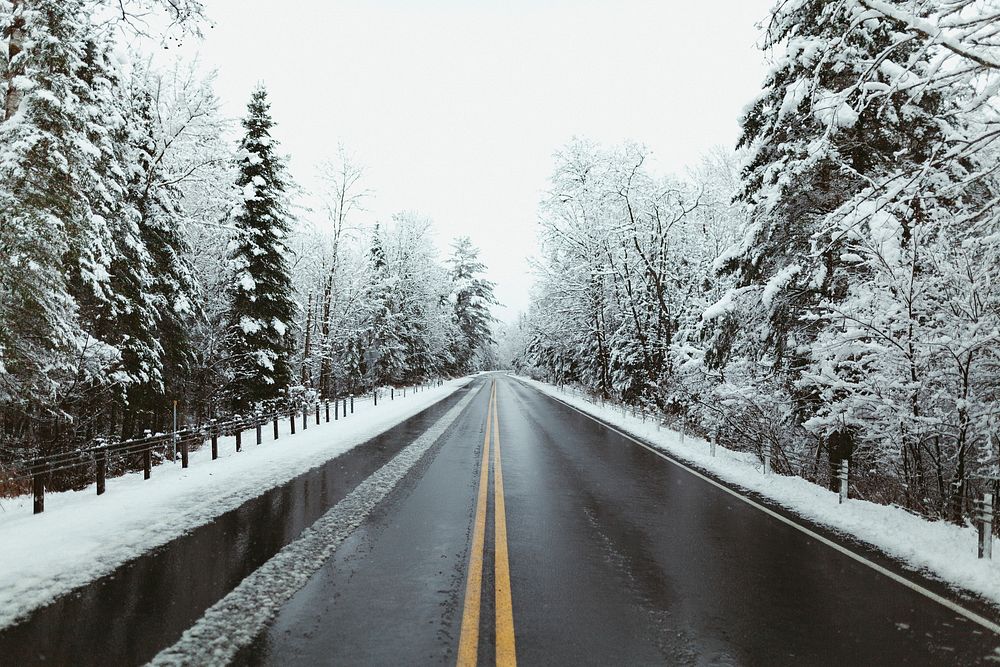 A road in a winter forest