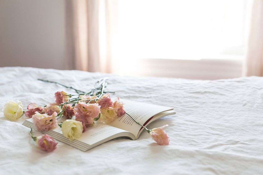 Free pale pink flowers spread out on the pages of a book, public domain CC0 photo.