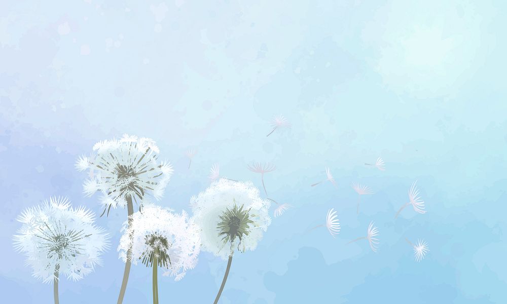 Hand drawn dandelions with a blue sky vector