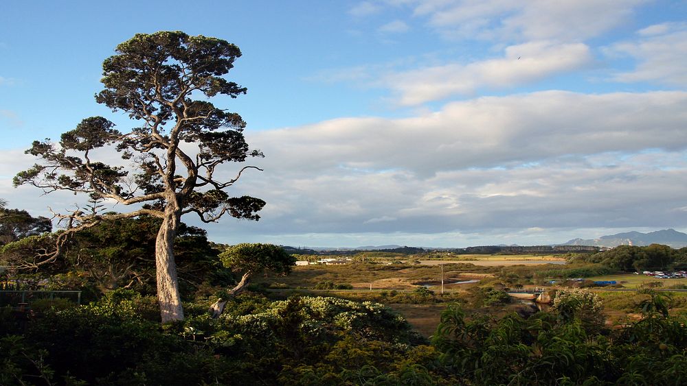 Ruakaka landscape. NZ.Ruakaka is a small township in the north of New Zealand approximately 30 kilometres south of Whangarei…