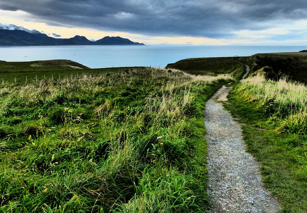 Kaikoura. In camera effects Lumix FZ200. Original public domain image from Flickr