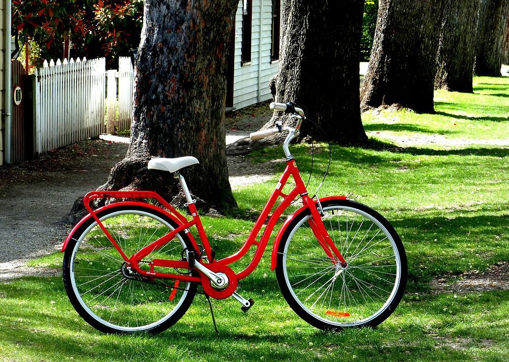 The Red Bicycle.