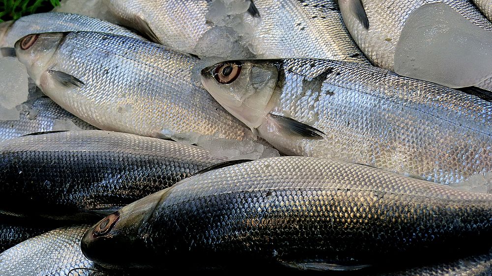 Milk Fish. Local market.