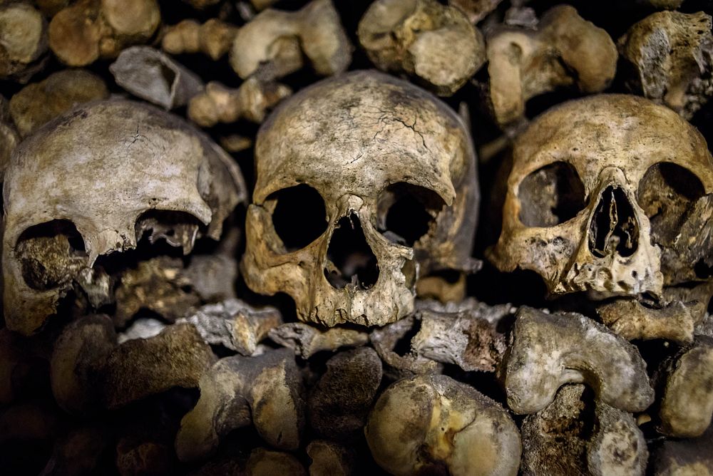 Human skulls. Free public domain CC0 photo