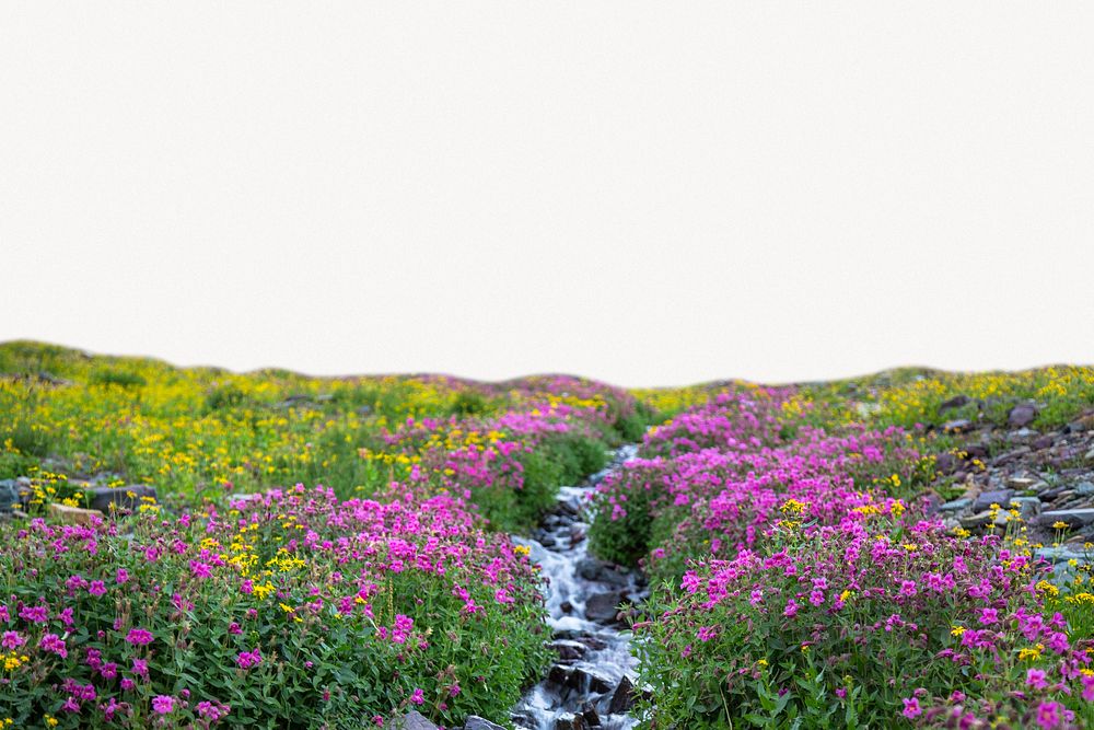 Wildflowers  border background, nature design