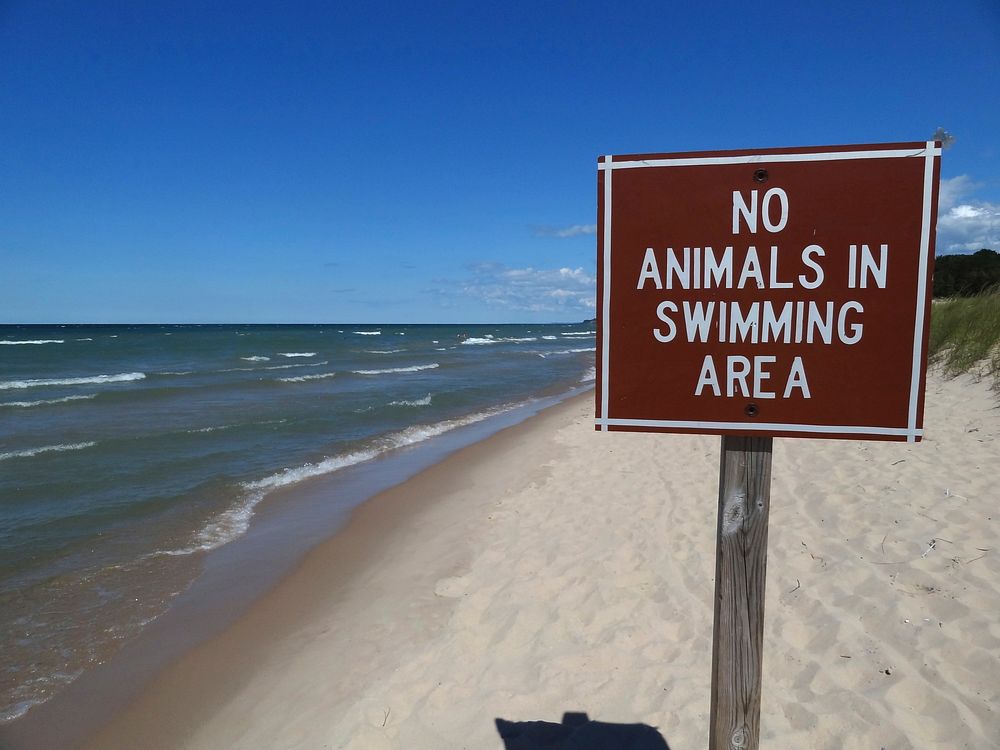 Lake Michigan recreation area warming sign. Original public domain image from Flickr