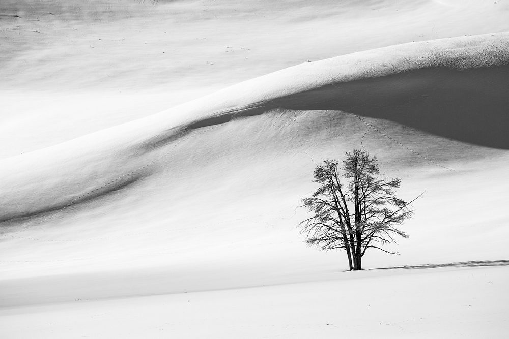 Snow dunes, Hayden Valley. Original public domain image from Flickr