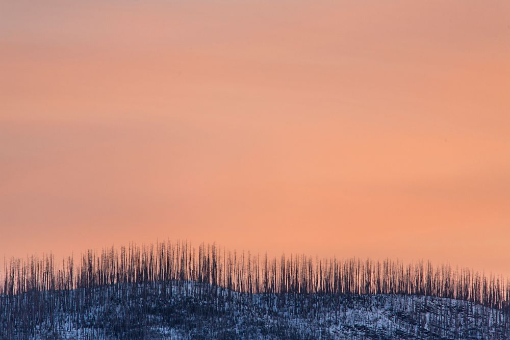 Pastel Sunrise over Howe Ridge. Original public domain image from Flickr