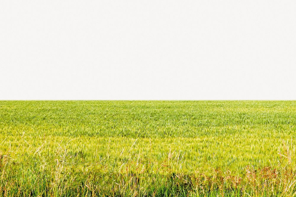 Farm landscape collage element psd