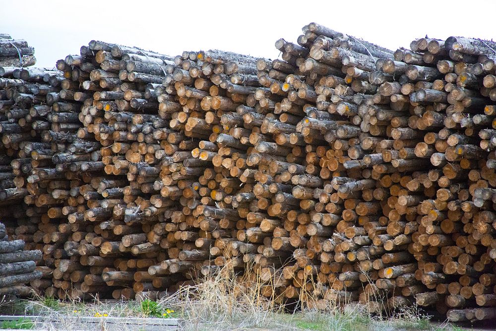 logs ET5A3073Jensen Lumber Co Inc in Ovid, Idaho. Original public domain image from Flickr