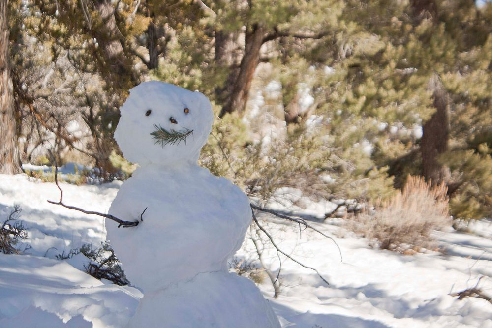 Winter in the Spring Mountains National Recreation Area. Original public domain image from Flickr