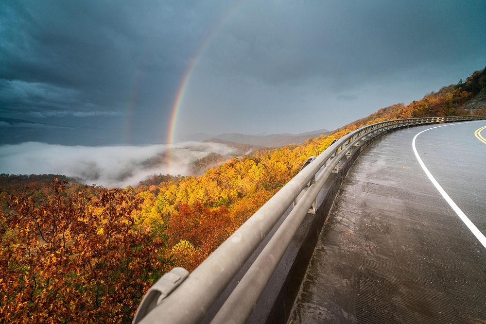 Foothills Parkway, November 2018 Joye Ardyn Durham.