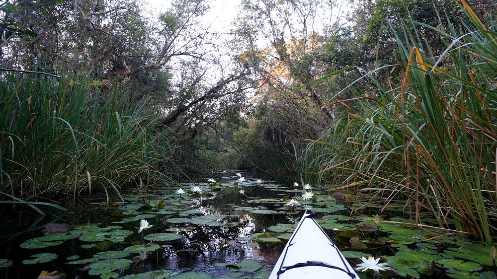 Turner River.