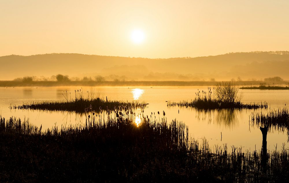 Dawn o'clock. Original public domain image from Flickr