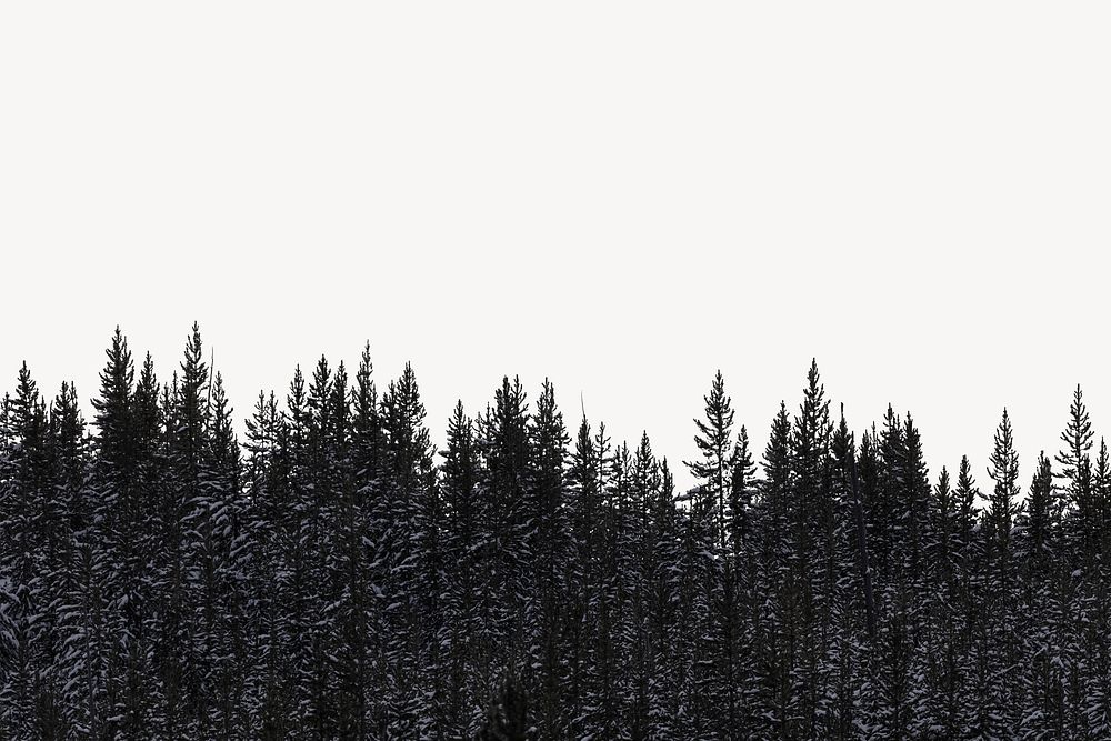 Winter forest collage element, off white design psd