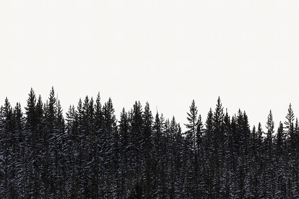 Winter forest border background, off white design