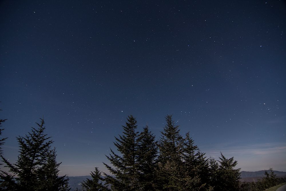 Night sky at Clingmans Dome, March 2018  Thom McManus.