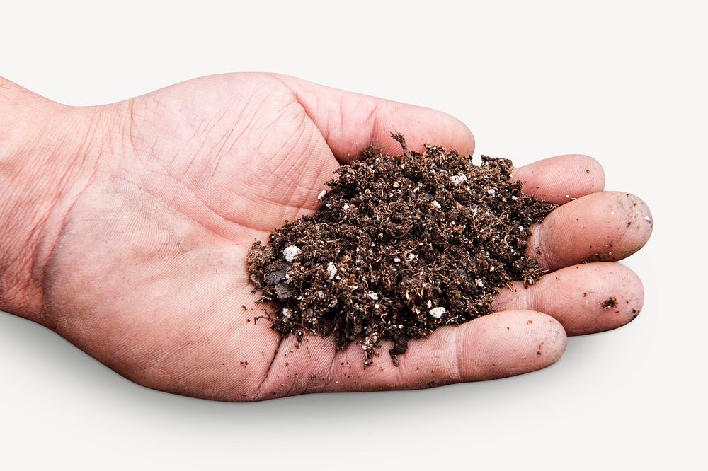 Soil on hand, environment image psd