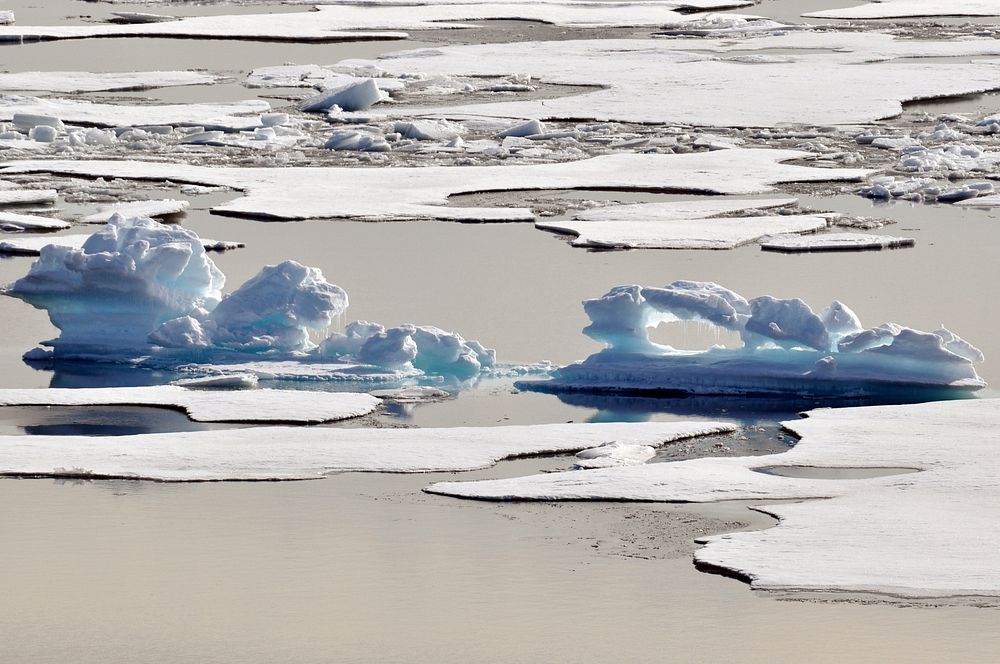 A melting ice floe in the Arctic Ocean resembles an alligator Aug. 12, 2009.Photo Credit: Patrick Kelley, U.S. Coast Guard.…