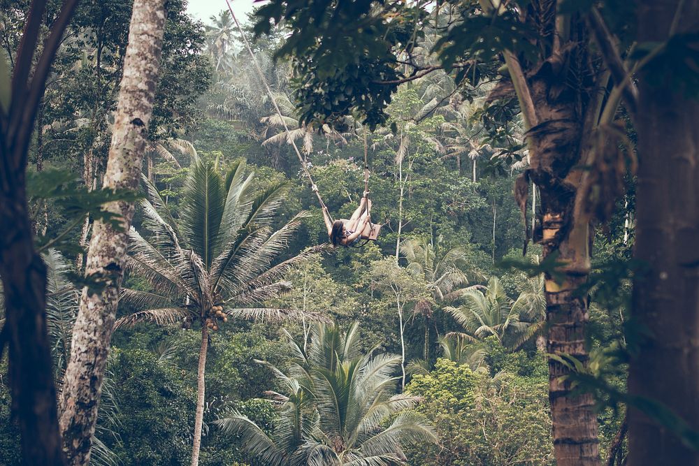 Swinging in Bali, background photo. Free public domain CC0 image.
