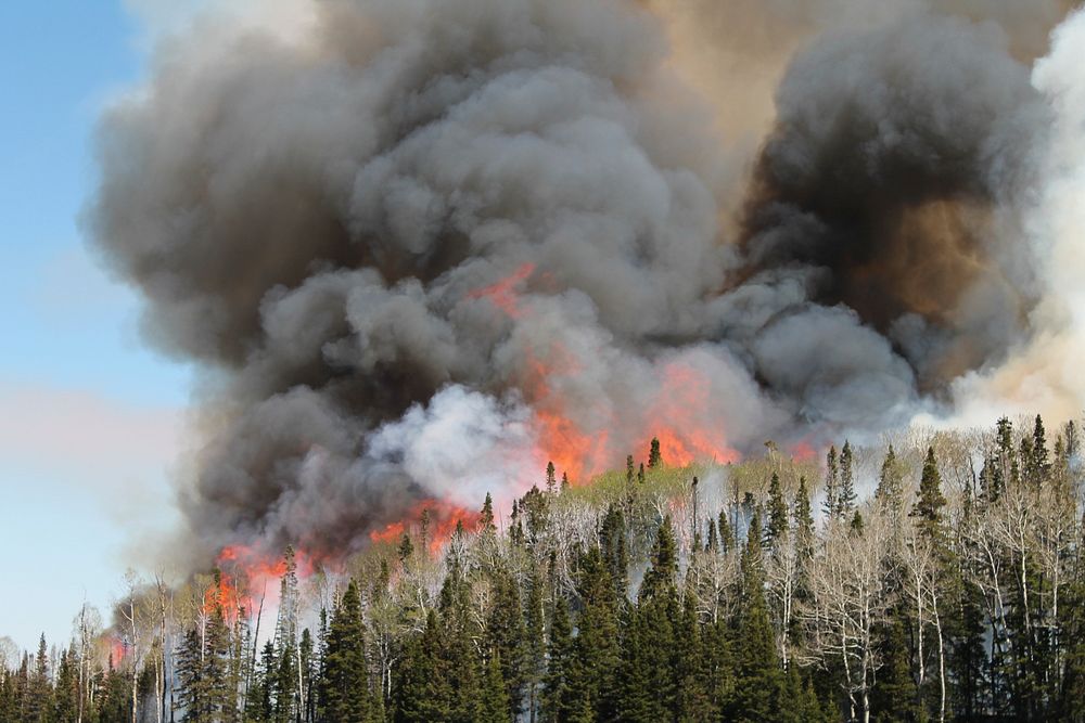 Flames and smoke rise from the South Monroe, USA. Original public domain image from Flickr