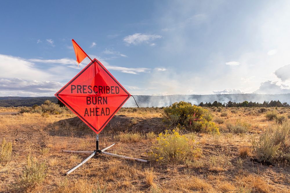 Sign at the Trout Springs Rx Fire