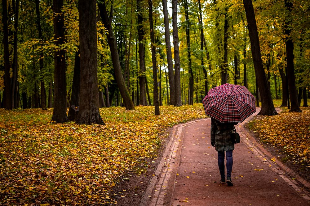 Woman with umbrella in autumn. Free public domain CC0 photo.