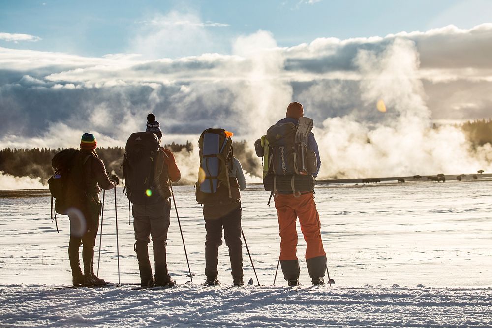 Skiers watch bison from the road, Lower Geyser Basin. Original public domain image from Flickr