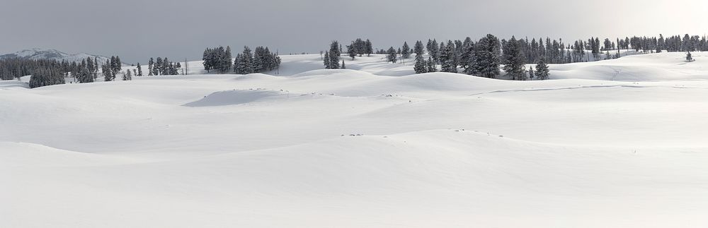 Fresh snow, Blacktail Deer Plateau. Original public domain image from Flickr