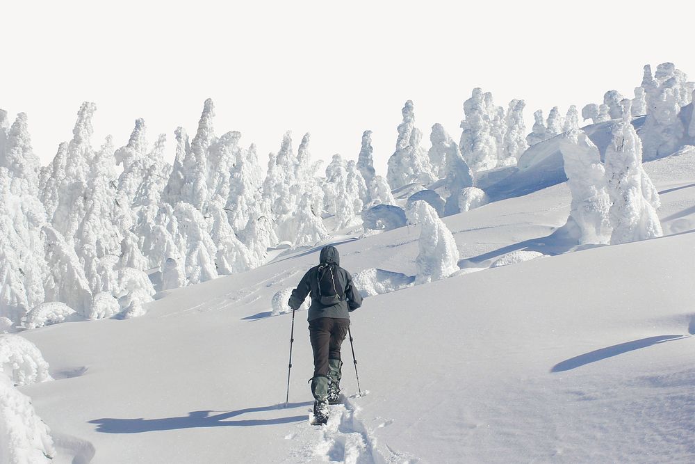 Snowshoeing towards the summit of Maiden Peak on the Willamette National Forest collage element psd
