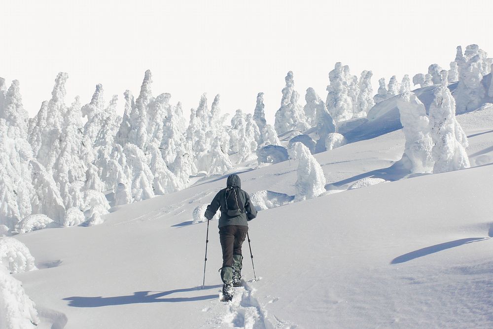 Snowshoeing towards the summit of Maiden Peak on the Willamette National Forest image element