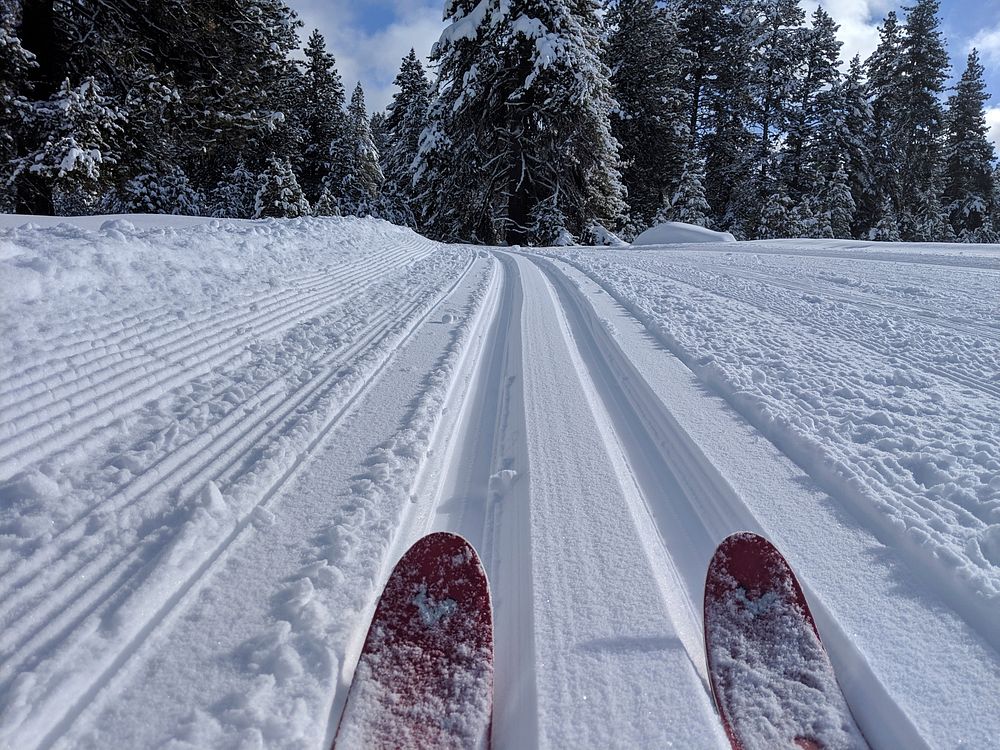 A skier in Bear Basin, located on the McCall Ranger District in the Payette National Forest, USA. Original public domain…