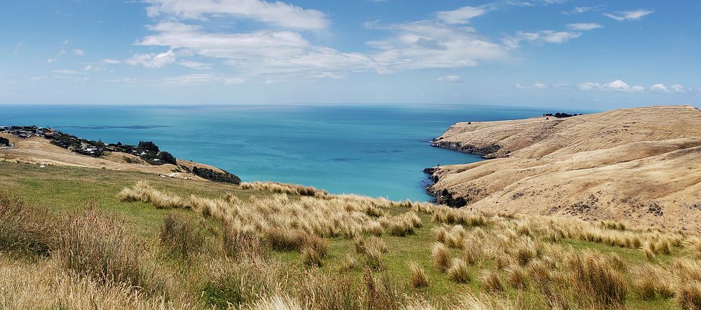 Banks Peninsula is a peninsula of volcanic origin on the east coast of the South Island of New Zealand. It has an area of…