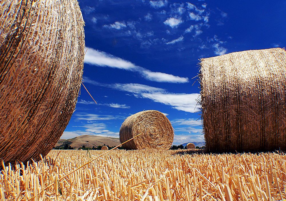 Haybales. Original public domain image from Flickr