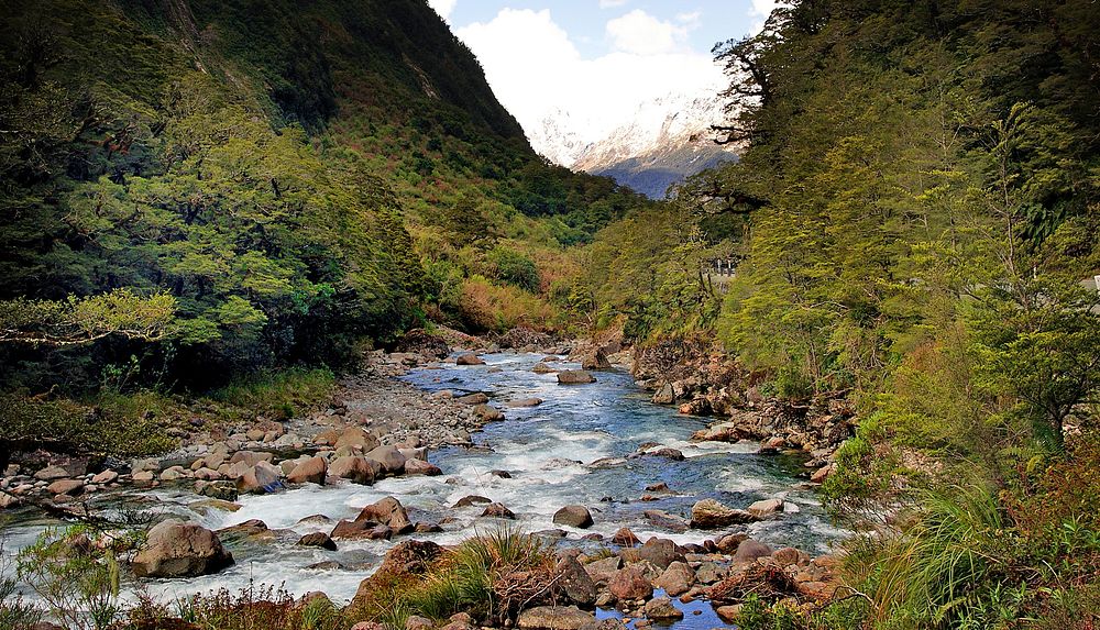 Hollyford River.