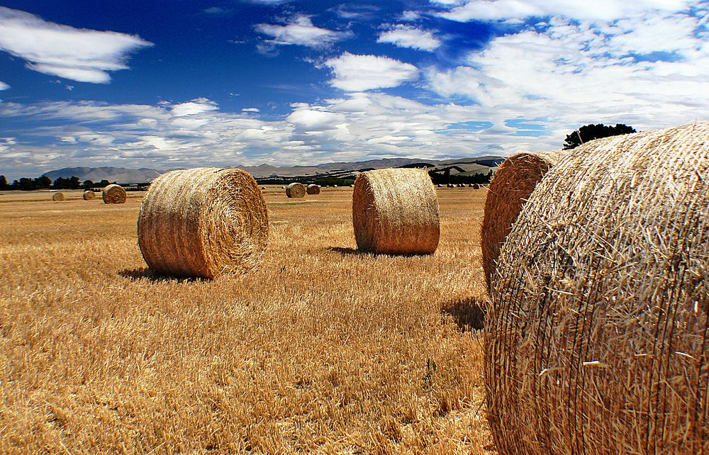 Hay bales. Original public domain image from Flickr