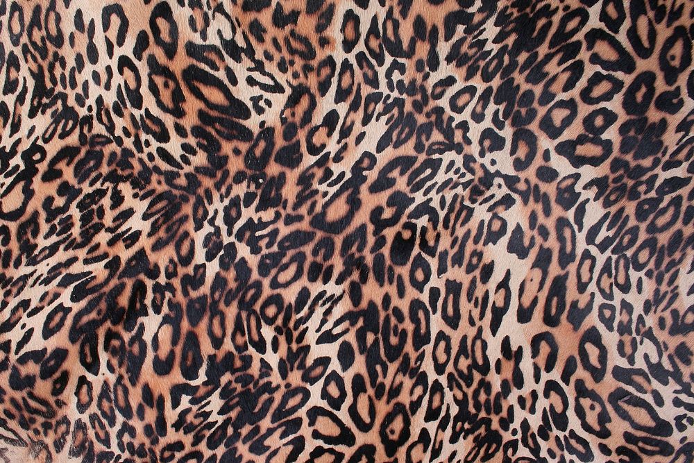 Leopard textile texture. Free public domain CC0 photo.