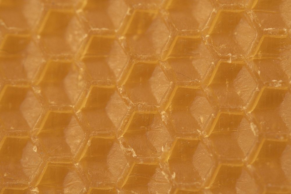 Honeycomb texture background. Free public domain CC0 photo.