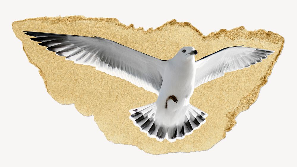 Flying seagull ripped paper, bird, animal graphic