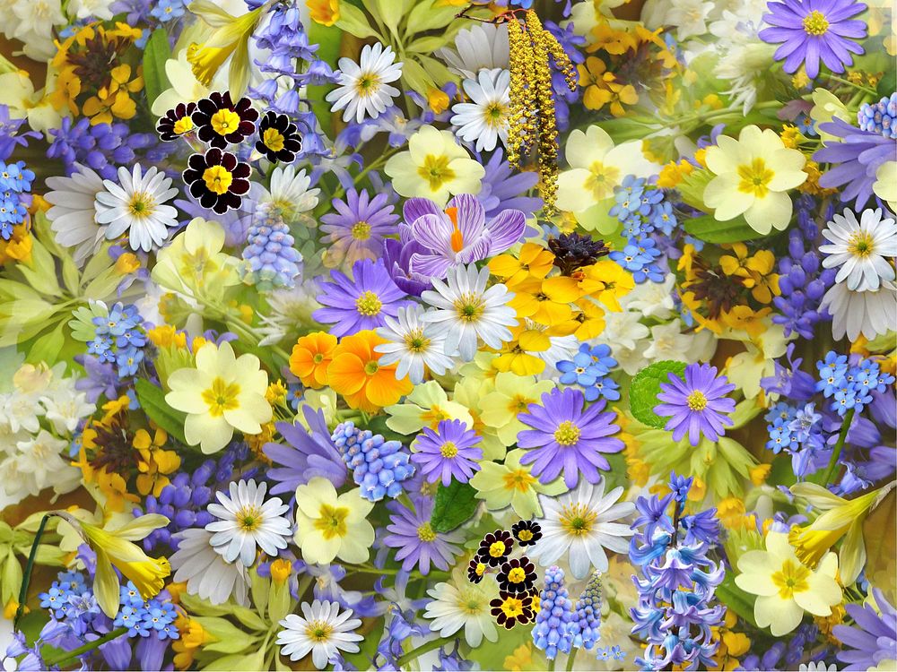 Flower background. Free public domain CC0 image.
