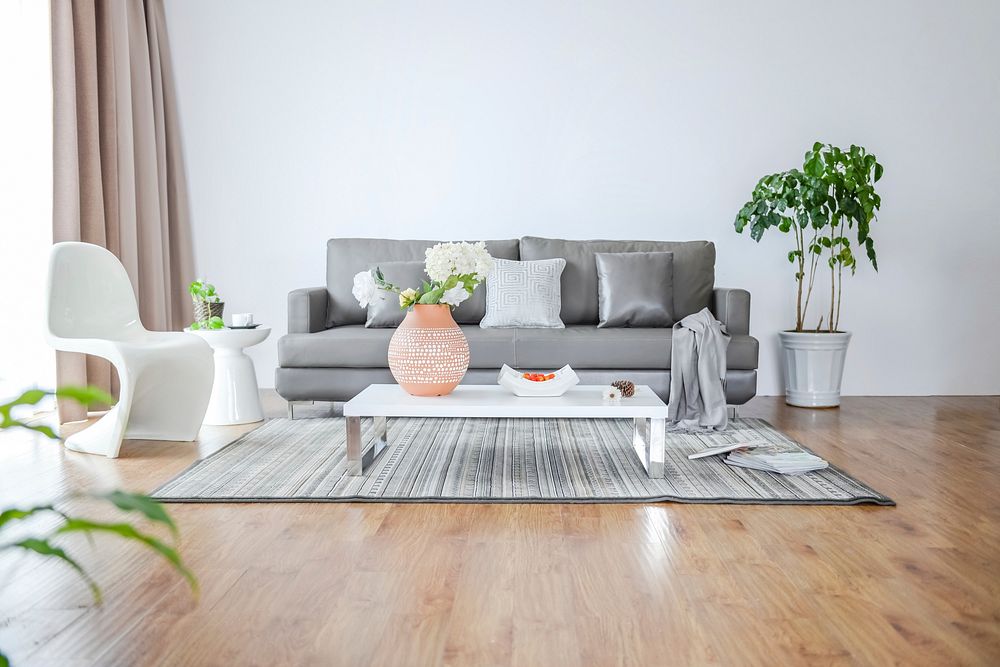 Free minimal living room with plants public domain CC0 photo.